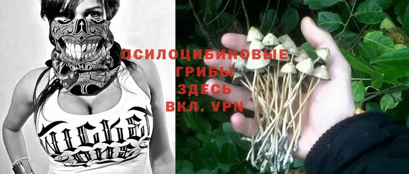 кракен как зайти  нарко площадка состав  Лобня  Галлюциногенные грибы Magic Shrooms  сколько стоит 